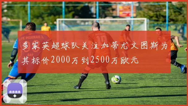 多家英超球队关注加蒂尤文图斯为其标价2000万到2500万欧元