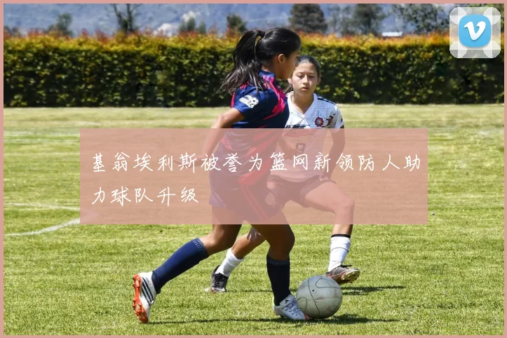 基翁埃利斯被誉为篮网新领防人助力球队升级